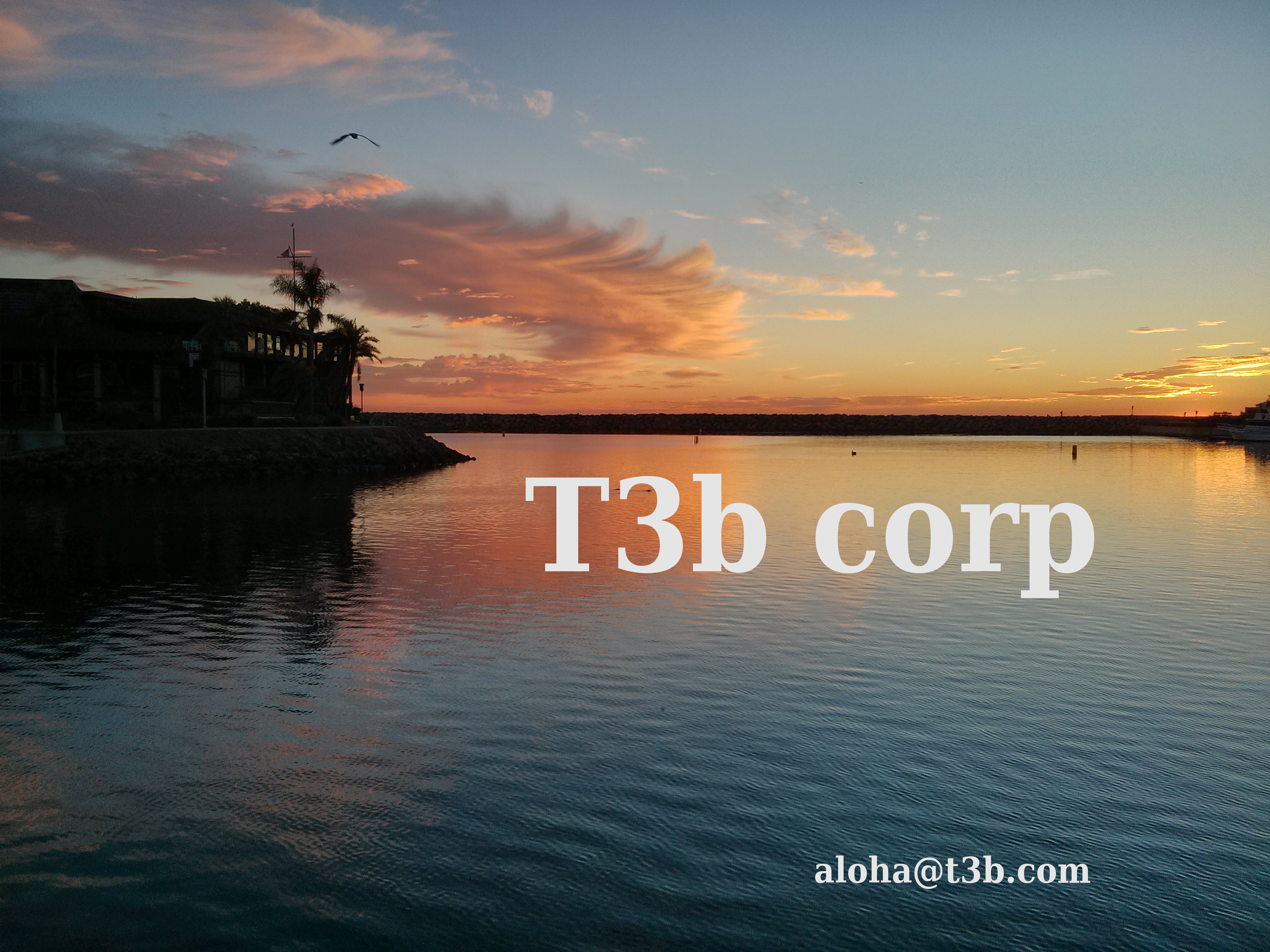 T3b corp